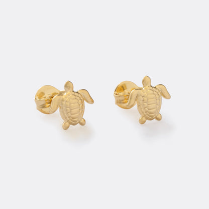 ARETE TOPO TURTLE