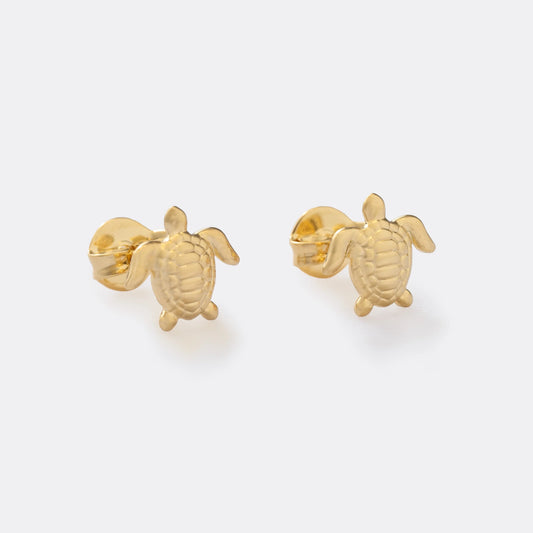 ARETE TOPO TURTLE