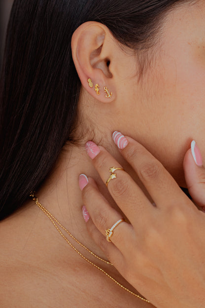 ARETES ANCLA